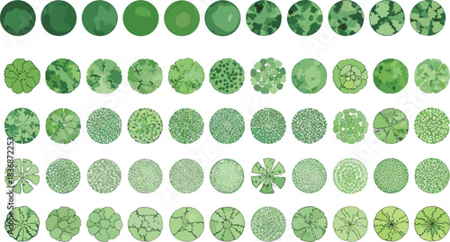 Top-down tree canopy views, circular foliage textures, landscape architecture elements, green leaf patterns, botanical layout set, flat vector illustration