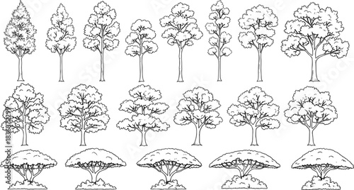 Black and white tree illustration set, diverse canopy shapes and foliage styles, botanical silhouette collection, flat vector illustration