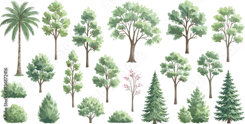 Colorful trees and shrubs collection, palm, coniferous, deciduous, flowering foliage, landscape design elements, nature vector set, flat vector illustration
