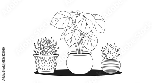 A minimalist black and white line art illustration showcases three diverse potted houseplants, featuring a leafy plant and two succulents.