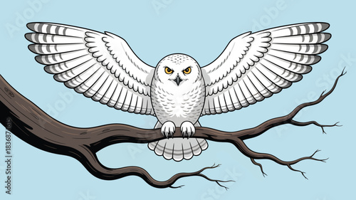 Adobe Illustrator Artwork