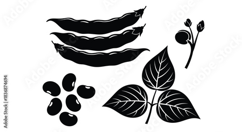 Black silhouette of bean pods and leaves on white background