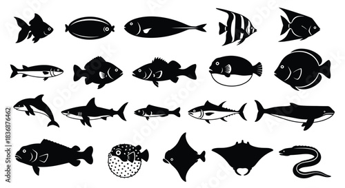 Diverse ocean fish silhouettes for design