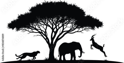 African wildlife silhouette featuring cheetah elephant and gazelle under tree