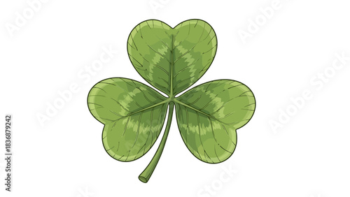 A detailed illustration of a single green shamrock with three heart-shaped leaves and a stem on a white background, symbolizing luck and Ireland