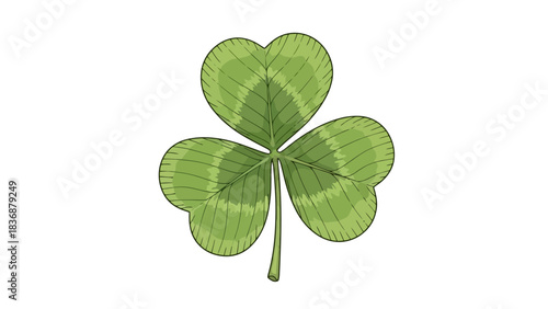 Vibrant green hand-drawn three-leaf clover illustration, a natural symbol of good luck and fortune, ideal for festive designs or botanical themes, isolated on white