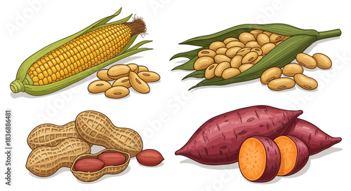 A collection of various staple food items including corn, soybeans, peanuts, and sweet potatoes, depicted in a vibrant illustration.