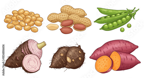 An assortment of legumes and root vegetables including peanuts, green peas, taro, and sweet potatoes, depicted in a vibrant illustration.