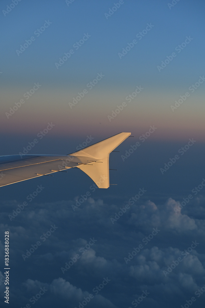 Fototapeta premium Wing side illuminated by the setting sun