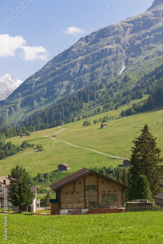 Picturesque alpine landscape with green valley and mountain forest in Switzerland
