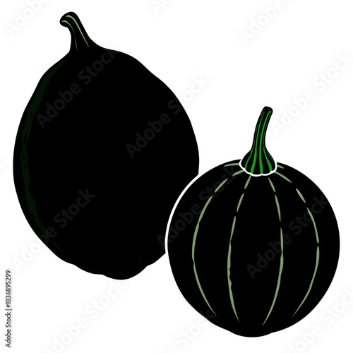 Close up studio shot of two bitter gourds on a plain background