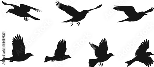Set of flying bird silhouettes, black vector flock illustrations with spread wings, isolated nature design elements on white