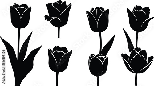 Stylized tulip flower silhouette set, black botanical design, petal variation, nature icon, vector art, floral stem illustration
