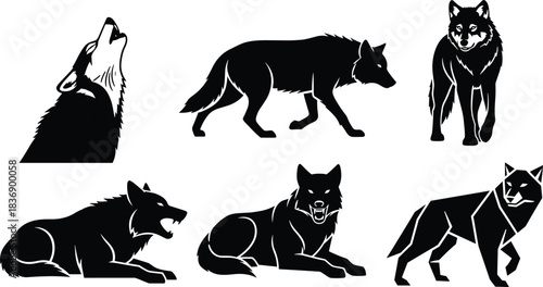 Wolf silhouette collection, expressive animal poses, black vector shapes, behavior variation set, editable wildlife illustration, nature reference, design