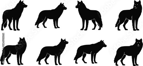 Wolf silhouette collection, posture variation set, black vector shapes, animal anatomy design, editable wildlife illustration, nature reference, profile view