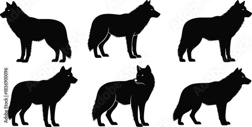 Wolf silhouette collection, right-facing animal poses, black vector shapes, posture variation set, editable wildlife illustration, nature reference, profile