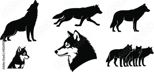 Wolf silhouette set, howling and sitting poses, walking group design, black vector shapes, animal anatomy, editable wildlife illustration