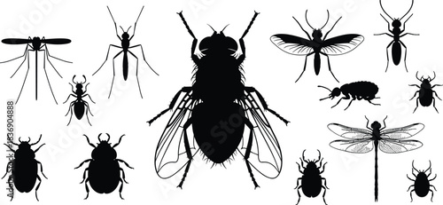 Diverse insect black silhouette collection, featuring mosquito, housefly, ants, beetles, and dragonfly, representing entomology, common household pests, and various bug species, isolated on white.