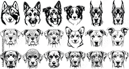 Dog Head Portraits Vector Illustration Set, Different Breeds Collection, Hand-Drawn Style Graphic of Canine Faces Including Husky, Doberman, Boxer, and Terrier for Pet Shop and Grooming Logo Design