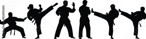Karate, Taekwondo, and Judo Fighters Performing High Kicks, Stances, and Training Poses for Action and Sport