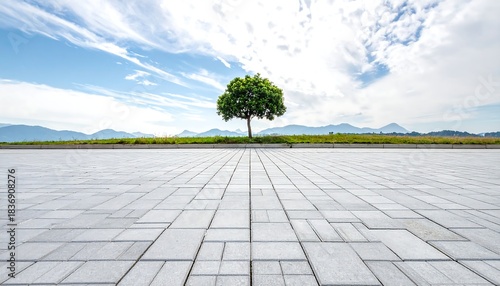 Solitary Tree on a Tiled Plaza Under a Bright Sky.