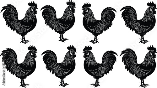 Detailed Rooster and Chicken Silhouette Vector Collection, Black Farm Animal Outline with Feather Texture Set, Poultry Logo Design