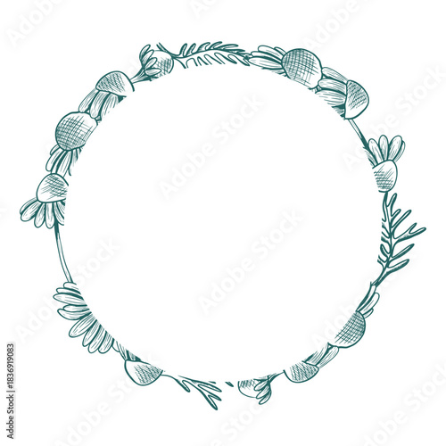 Round frame with chamomile flowers and leaves. Vector round frame with peeking flowers in line art style. Trendy colors used. Botanical illustration.