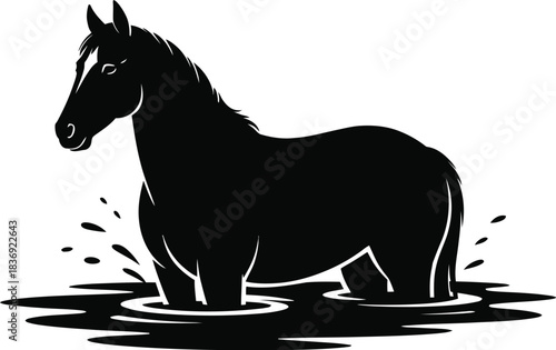 Black silhouette of a horse standing in water with splashes on a white background equine animal