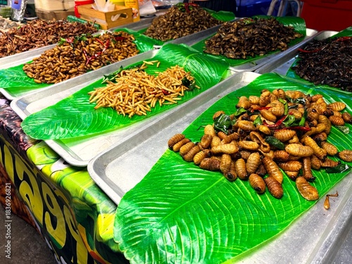昆虫食
