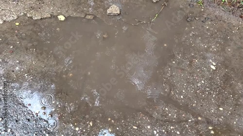 Rain falling into a muddy puddle on asphalt ground close up.