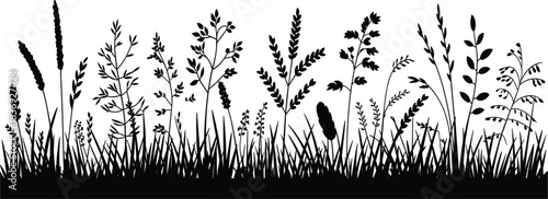 Detailed black vector silhouette border of wild grass, weeds, and various natural foliage, perfect for nature banners, ecology, and landscape design