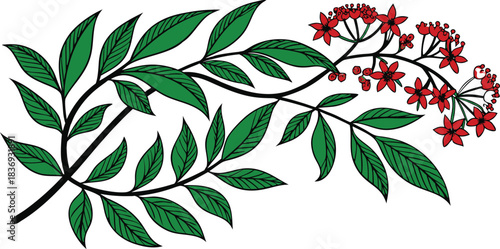 green leaves and red flowers on branch clip art preview