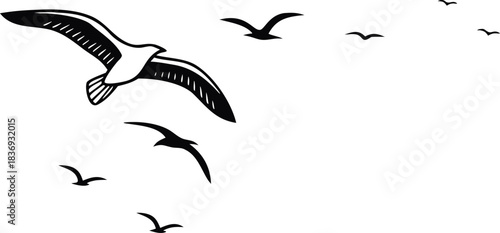Flock of Seagulls Flying in Formation Against a White Background birds migration