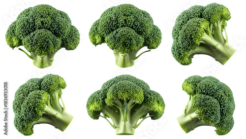 Fresh broccoli florets collection isolated on transparent background