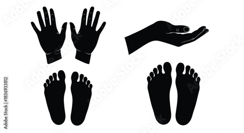 Black silhouettes of hands and feet on white