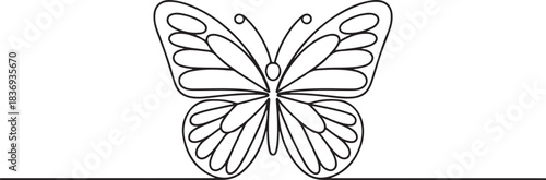 Butterfly vector linear icon. Butterfly one line in one line vector. Linear outline design of butterflies.one line  vector illustration  with out background