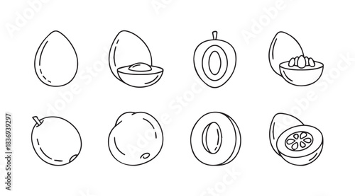 Set of hand drawn sketch avocados and other fruits iconographic collection vector