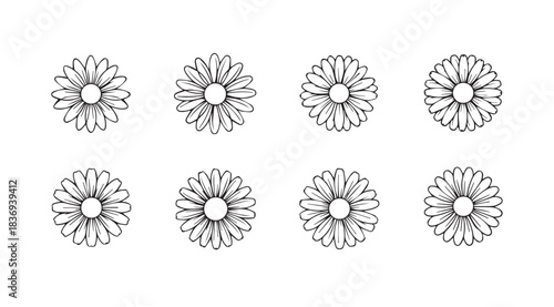 Set of eight hand-drawn daisy floral elements in a delicate sketchy artistic style vector