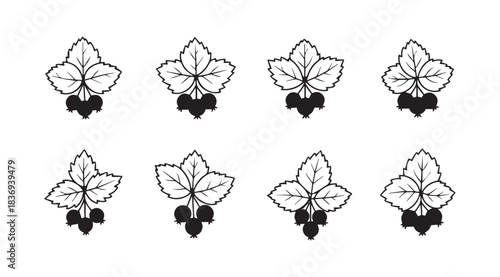 Collection of red currant clusters with leaves simple line art botanical elements decorative accents vector