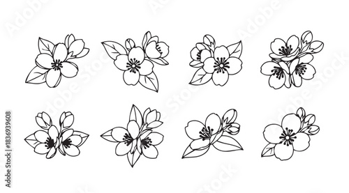 Collection of delicate hand drawn floral elements botanical sketch accents for design projects vector