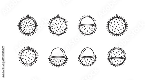Microscopic virus and bacteria illustrations set diverse shapes and perspectives for medical science vector