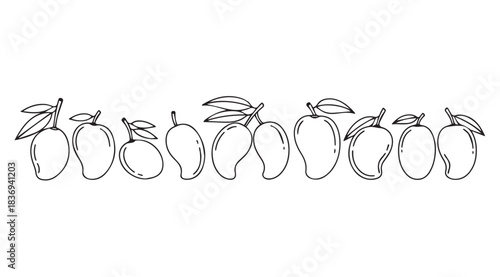 Simple line drawing of a row of delicious mangoes with leaves and stems for healthy eating vector