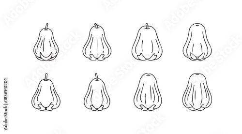 Set of eight hand drawn outline pumpkins for autumn harvest seasonal design elements vector