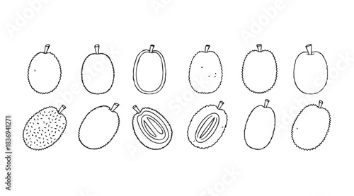Collection of whimsical hand drawn ornamental gourds and pumpkins set seasonal harvest decorations vector