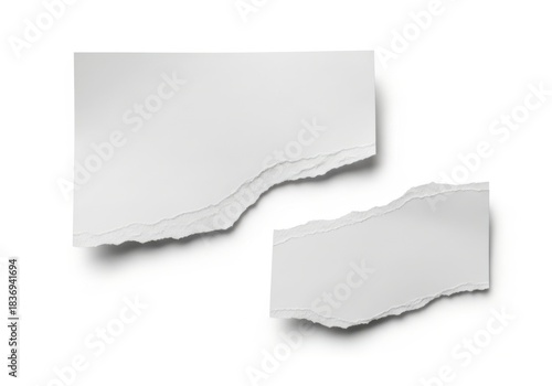 Wallpaper Mural Two irregular pieces of white paper feature rough, torn edges casting soft shadows on a clean background. Torontodigital.ca