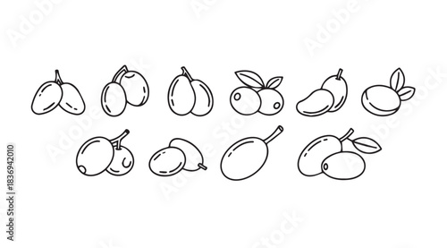 Collection of fresh fruit sketches featuring mangoes pears and berries in outline style vector