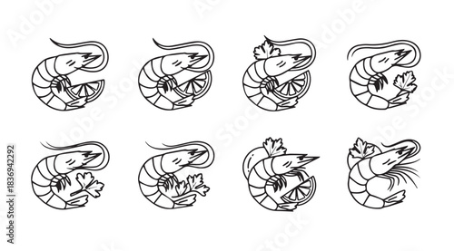 Collection of eight hand drawn shrimp illustrations with delicate sketchy lines perfect for food art vector