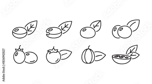 Hand drawn sketch collection of fresh berries and fruits with leaves for healthy food design elements vector