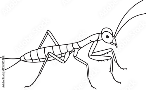 Praying Mantis Nymph Side View Slender Vector Line Illustration.eps
