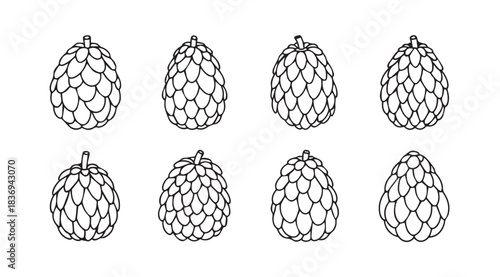 Eight hand drawn green hop cones isolated on for brewing and craft beer vector